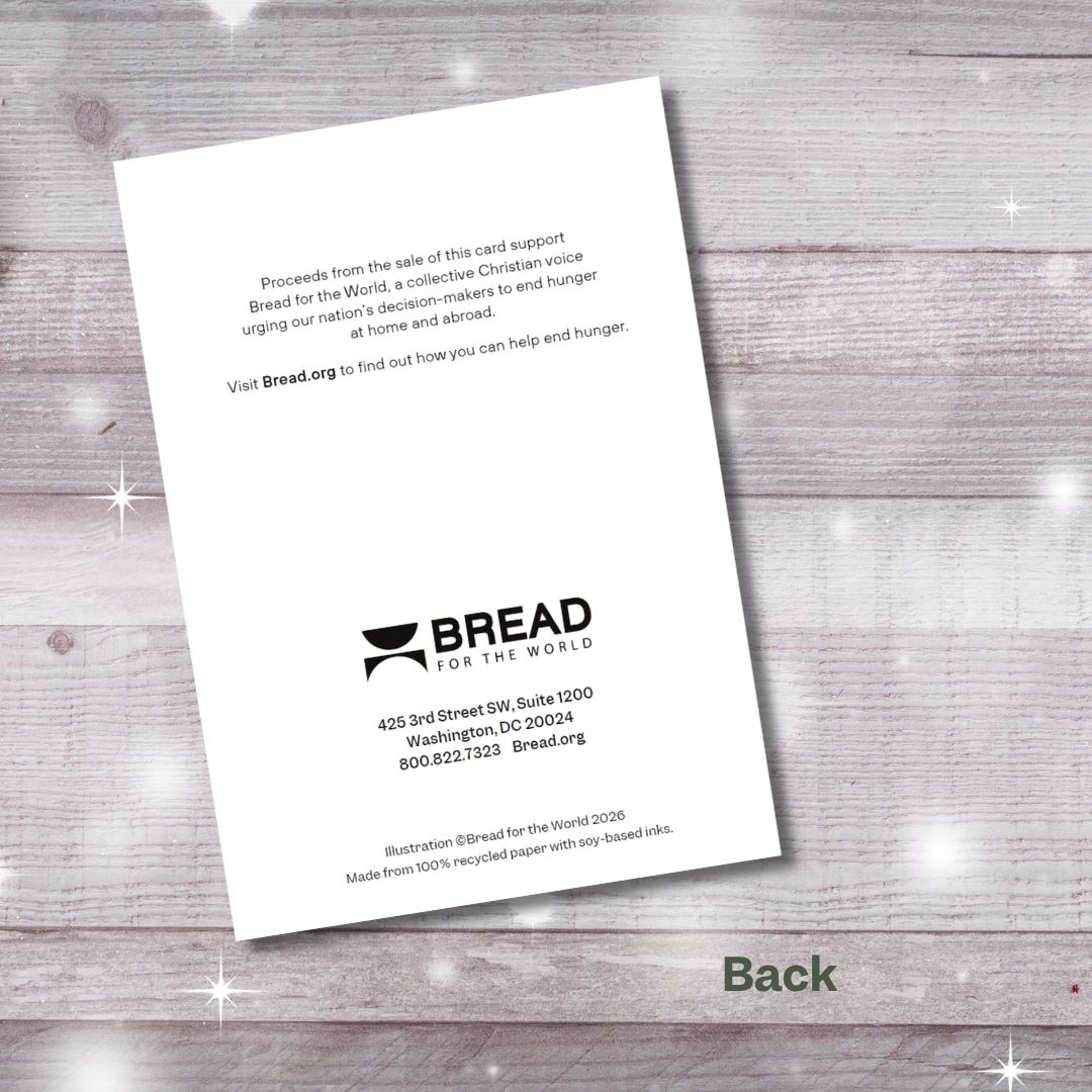 NEW Light has dawned Christmas Card (Pack of 10)