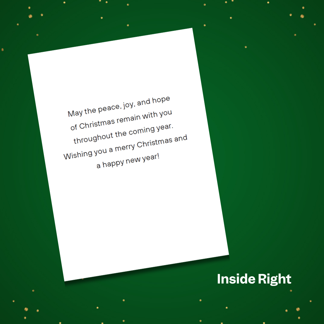 NEW Merry & Bright Christmas Cards (Pack of 10)